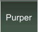 Purper